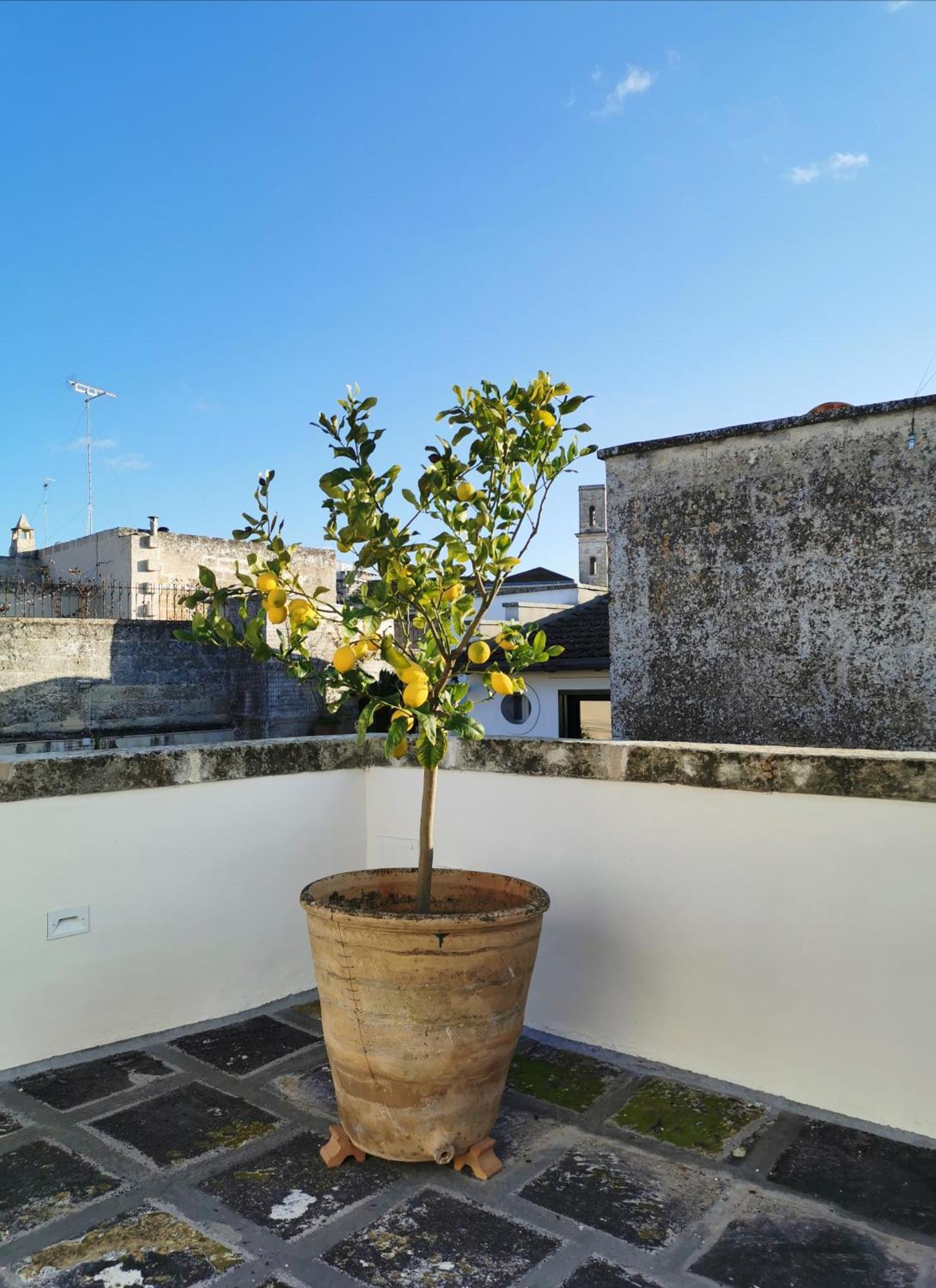 Coniger 4 Casa Vacanze In Centro Lecce Con Wi-Fi E Smart Tv 외부 사진